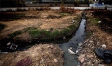【毒水】工业和农业污水灌溉下的丰收