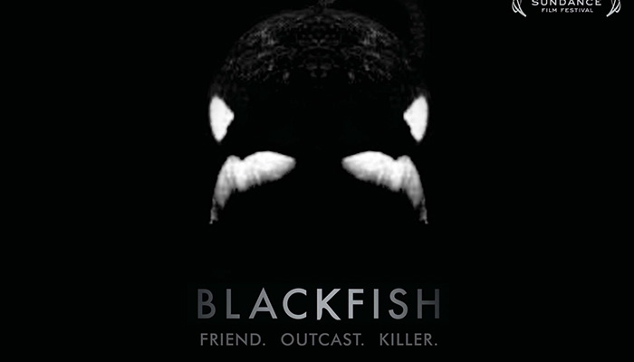 纪录片时间 blackfish 黑鲸 水族馆里你不知道的真相