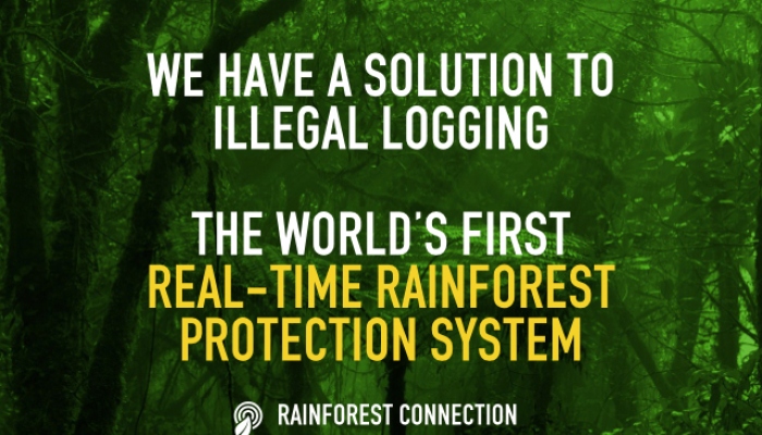 #万万没想到# 尖叫树：这项技术将使热带雨林有机会为自己呼救