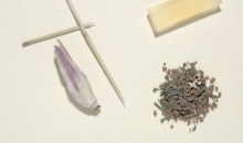 长草时刻 | 9个设计超赞的生态友好的美妆产品