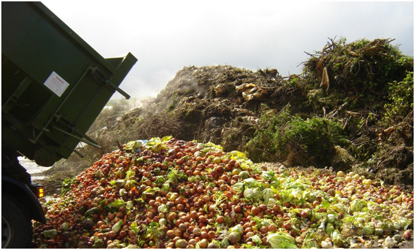 An estimated 2.0 billion tons of food is wasted every year. (Credits: The Guardian)