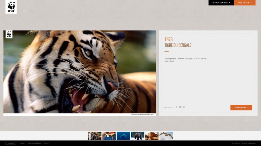 awesome web design