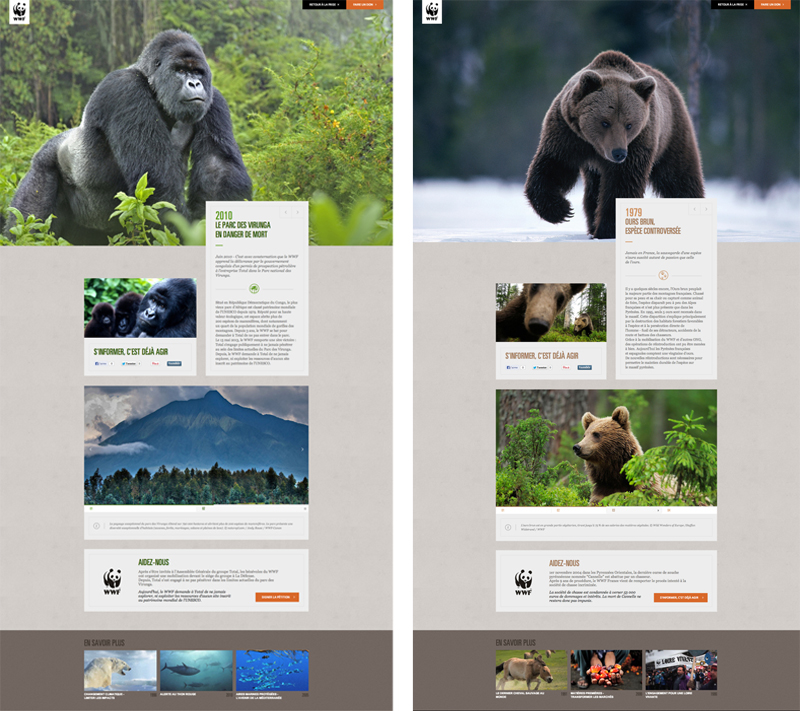 awesome web design